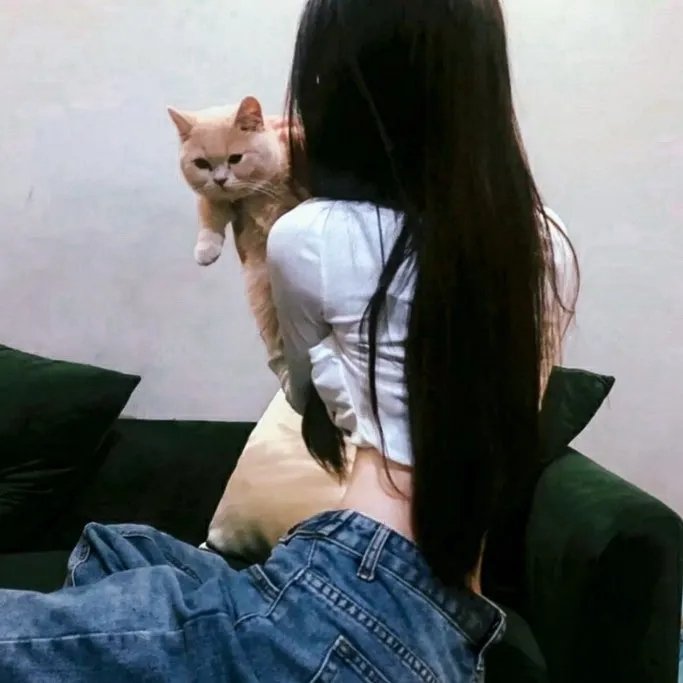 幽游白书